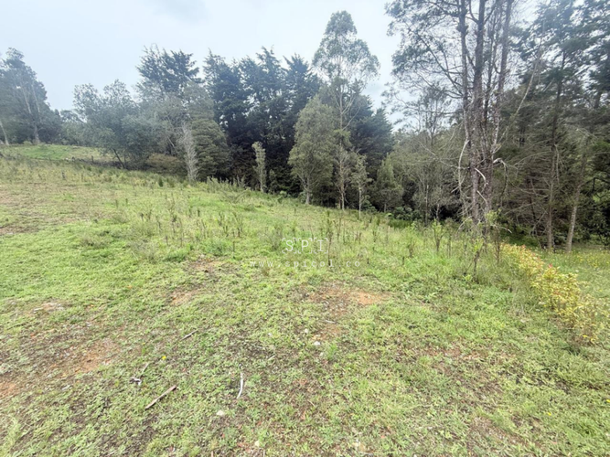 Lote en venta en Las Palmas, Envigado, 2575 m² · foto 13 de 14