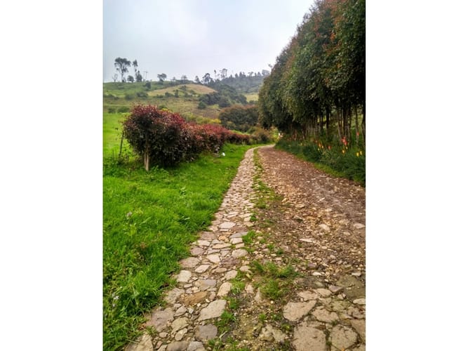 Lote en venta en Santa Helena, La Calera, 11300 m² · foto 2 de 4