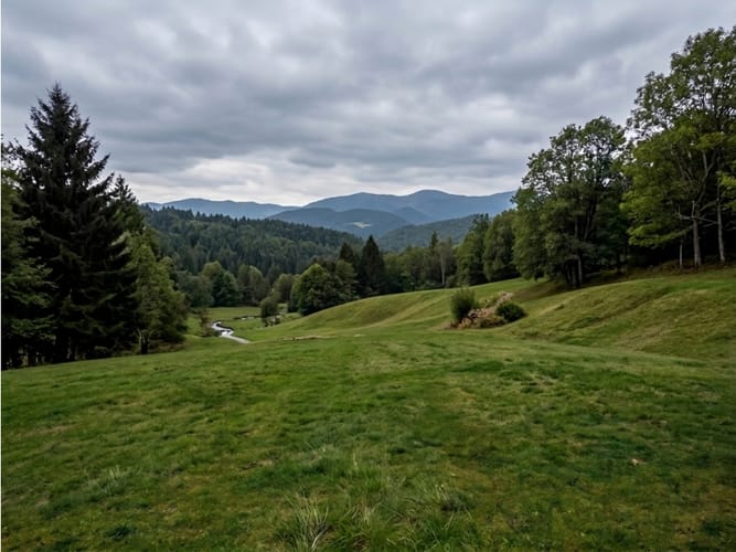 Lote en venta en Santa Helena, La Calera, 11300 m² · foto 4 de 4