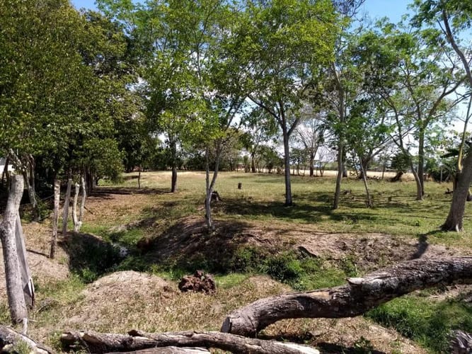 Lote en venta en Ibagué, 3122 m² · foto 4 de 5