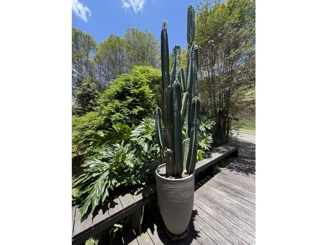 Casa de 2 alcobas en venta en La Calera, Medellín, 570 m² · foto 8 de 24