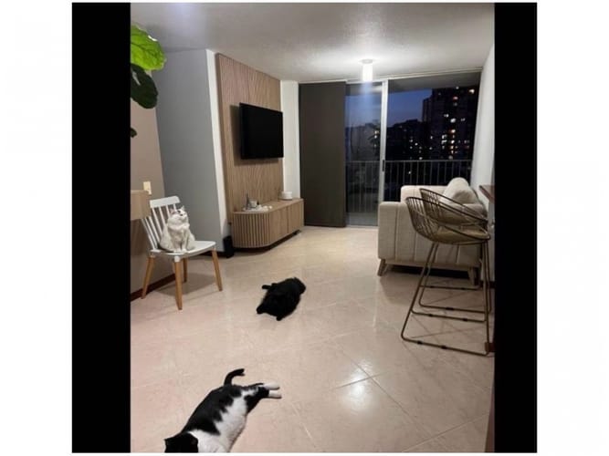 Apartamento de 3 alcobas en venta en Camino Verde, Envigado, 63 m² · foto 3 de 12