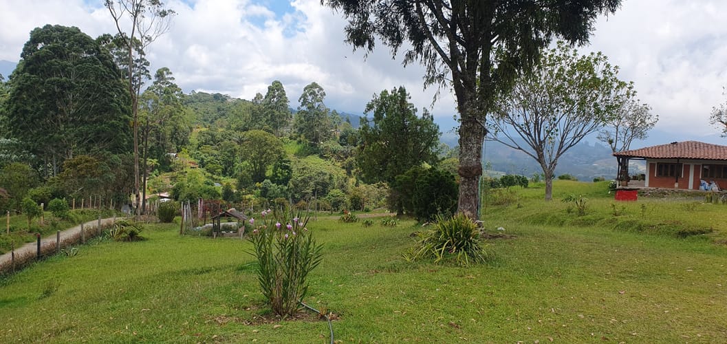 Finca en venta en Tribunas Corcega, Pereira, 200 m² · foto 7 de 24