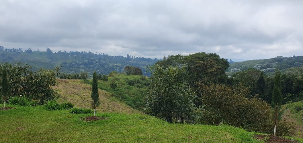 Finca en venta en Tribunas Corcega, Pereira, 200 m² · foto 9 de 24