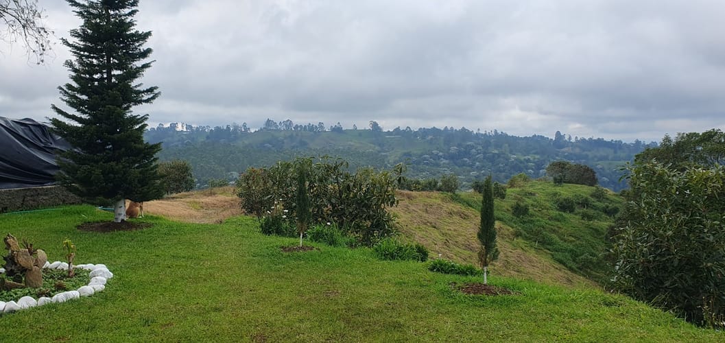 Finca en venta en Tribunas Corcega, Pereira, 200 m² · foto 10 de 24