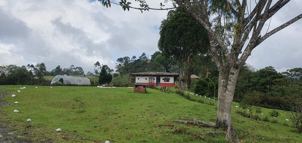 Finca en venta en Tribunas Corcega, Pereira, 200 m² · foto 11 de 24