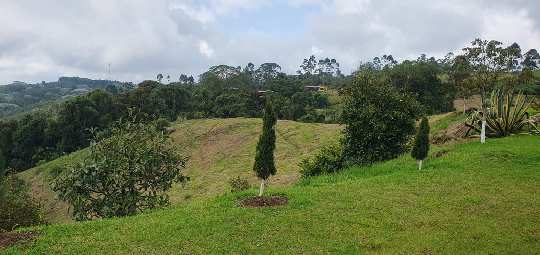 Finca en venta en Tribunas Corcega, Pereira, 200 m² · foto 13 de 24