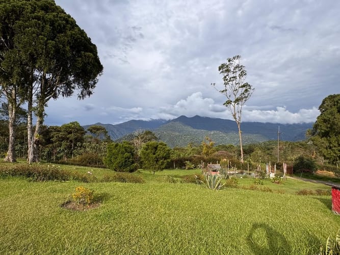 Finca en venta en Tribunas Corcega, Pereira, 200 m² · foto 20 de 24