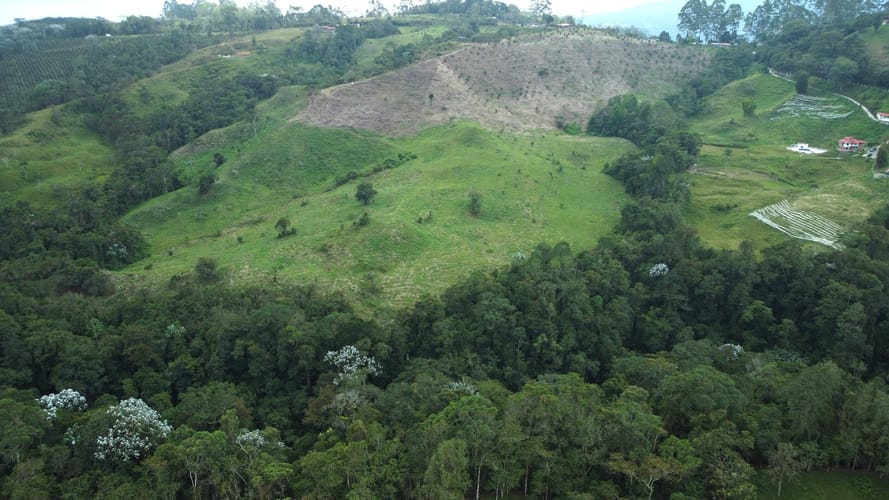 Finca en venta en Tribunas Corcega, Pereira, 200 m² · foto 21 de 24
