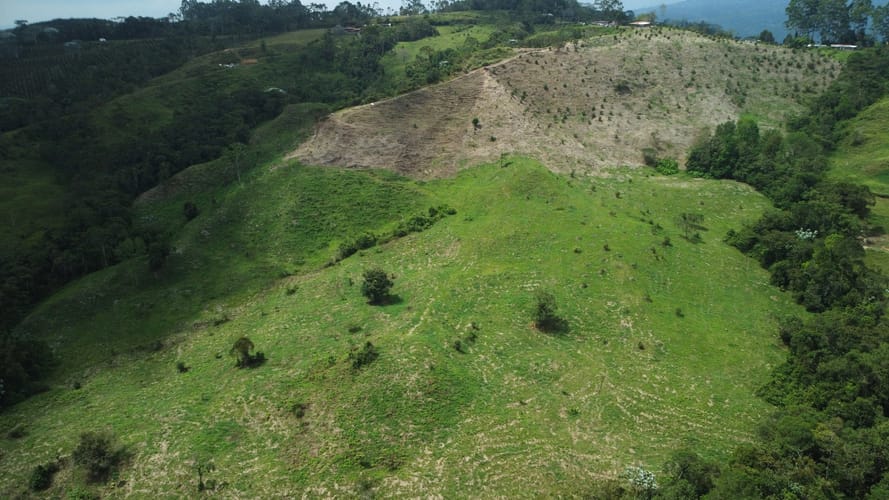Finca en venta en Tribunas Corcega, Pereira, 200 m² · foto 23 de 24