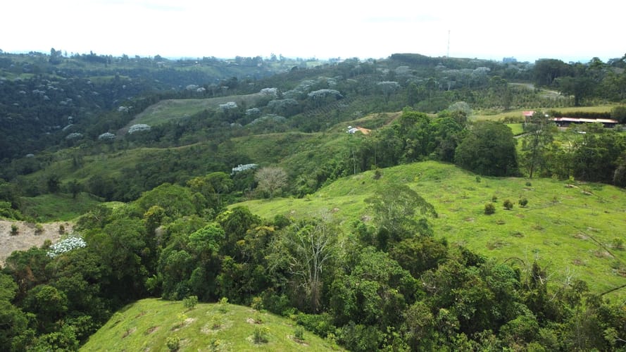 Finca en venta en Tribunas Corcega, Pereira, 200 m² · foto 22 de 24