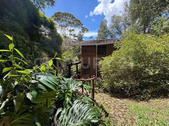 Finca en venta en Hojas Anchas, Guarne, 335 m² · foto 12 de 23