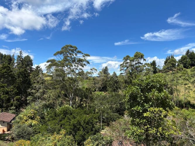 Finca en venta en Hojas Anchas, Guarne, 335 m² · foto 23 de 23