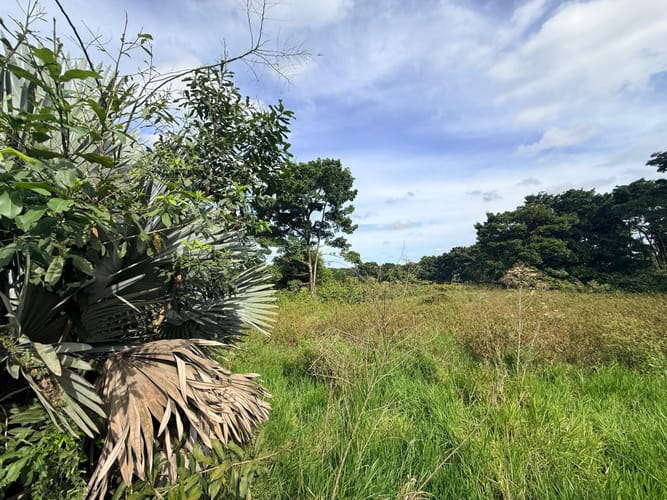 Lote en venta en Vanguardia, Villavicencio, 1689 m² · foto 3 de 8