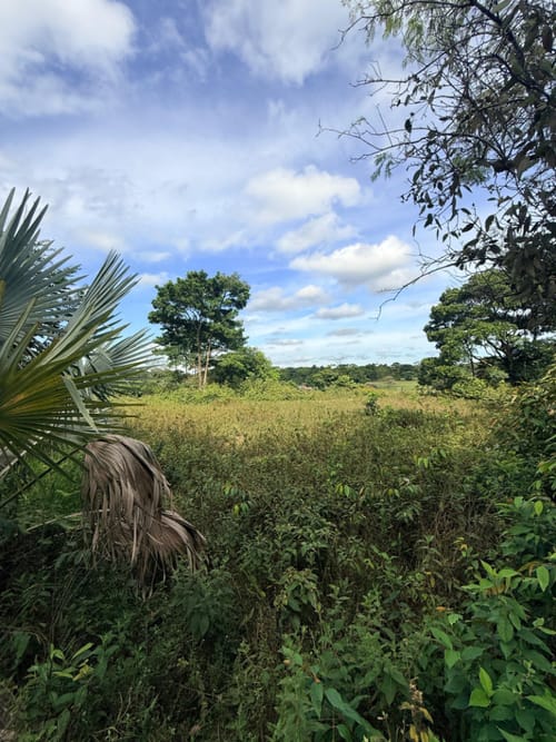 Lote en venta en Vanguardia, Villavicencio, 1900 m² · foto 7 de 8