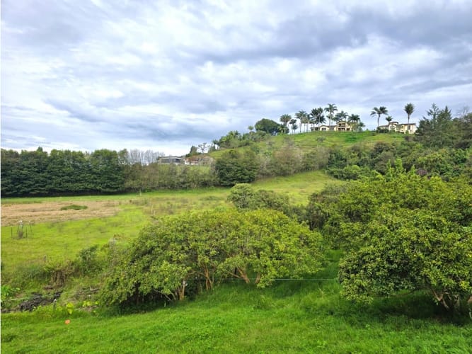 Lote en venta en Cabeceras De Llanogrande, Rionegro, 1100 m² · foto 2 de 6