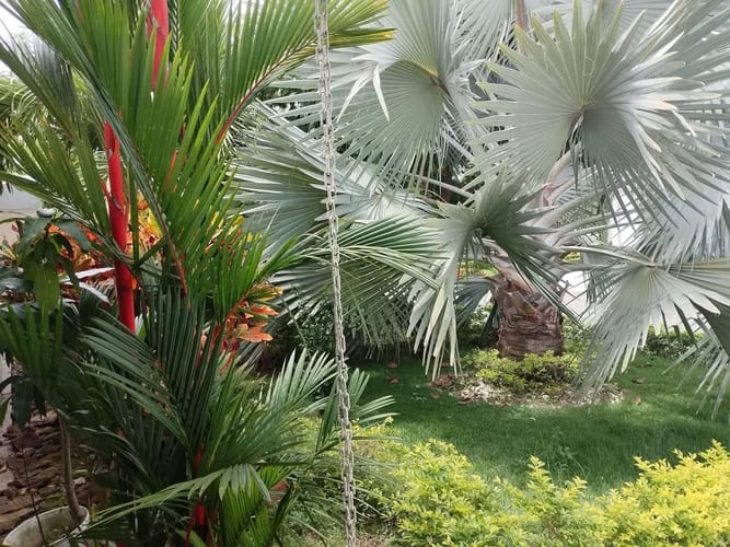 Casa de 3 alcobas en venta en El Castillo, Jamundí, 280 m² · foto 24 de 24