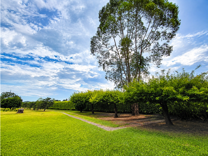 Finca en venta en Arenal, Cali, 320 m² · foto 12 de 24