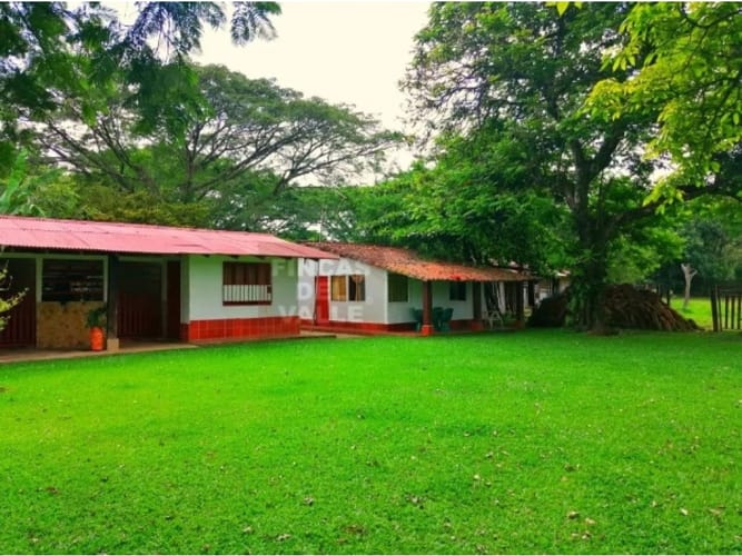 Finca en venta en Potrerito, Jamundí, 500 m² · foto 10 de 19