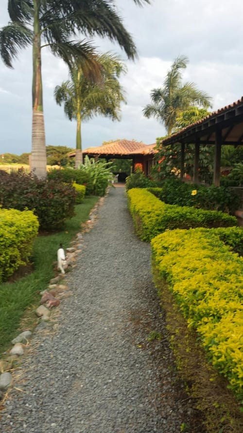 Finca en arriendo en La Torre, Palmira, 400 m² · foto 23 de 24
