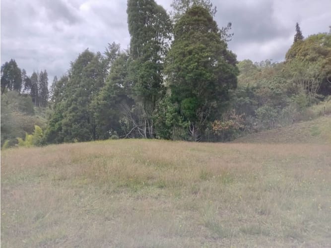 Lote en venta en La Brizuela, Guarne, 1500 m² · foto 2 de 5