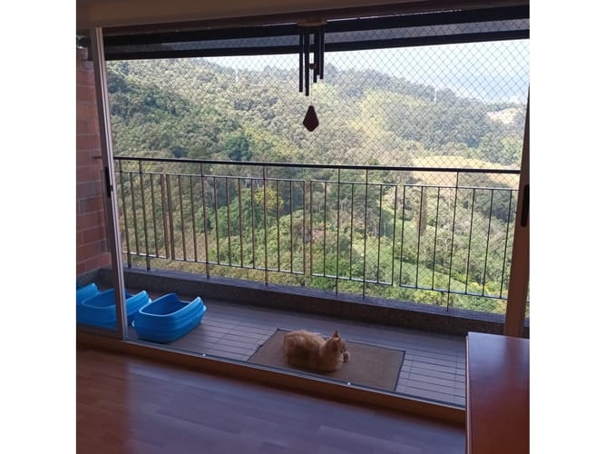 Apartamento de 2 alcobas en venta en Cañaveralejo, Sabaneta, 65 m² · foto 7 de 24