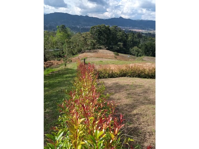 Lote en venta en Lomitas, La Ceja, 1850 m² · foto 8 de 8