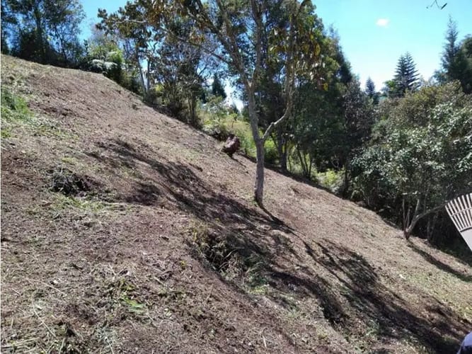 Lote en venta en Aeropuerto, Rionegro, 5000 m² · foto 4 de 11