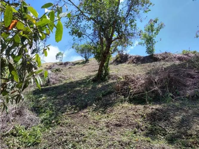 Lote en venta en Aeropuerto, Rionegro, 5000 m² · foto 5 de 11