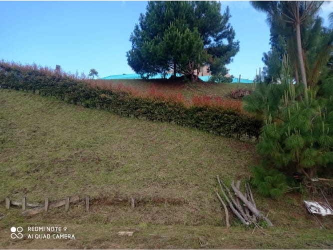 Lote en venta en Pantanillo, El Retiro, 5400 m² · foto 3 de 6