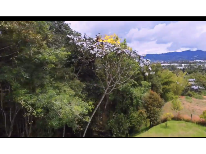 Lote en venta en Llano Grande, Rionegro, 2990 m² · foto 13 de 14