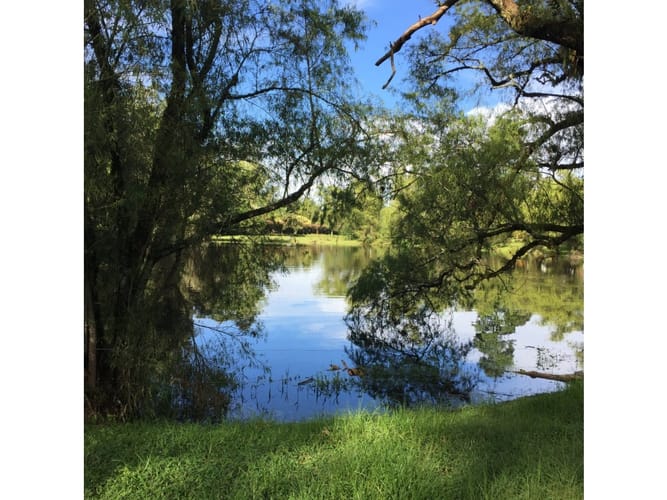 Lote en venta en Llano Grande, Rionegro, 400 m² · foto 3 de 24