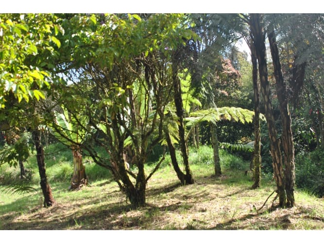 Lote en venta en Loreto, Medellín · foto 5 de 24