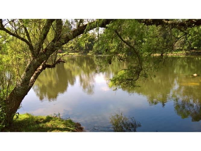 Lote en venta en Llano Grande, Rionegro, 400 m² · foto 6 de 24