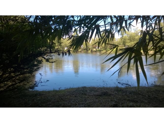 Lote en venta en Llano Grande, Rionegro, 400 m² · foto 7 de 24