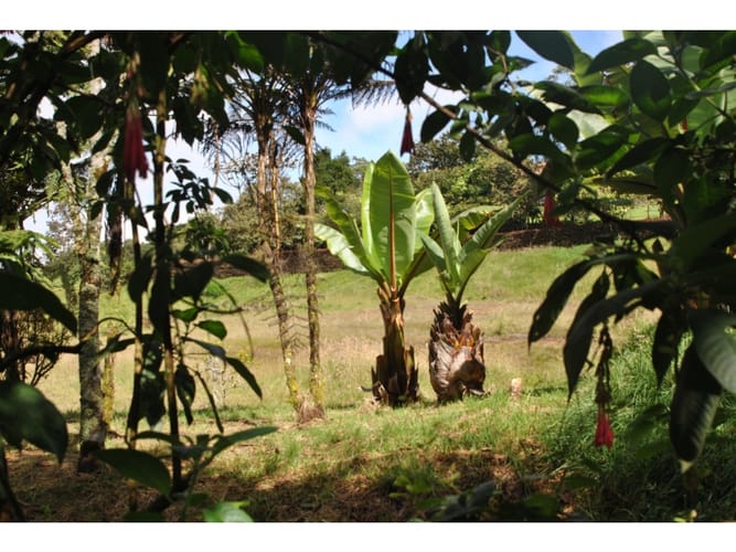 Lote en venta en Loreto, Medellín · foto 7 de 24