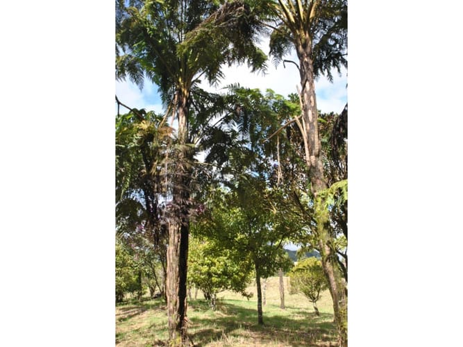 Lote en venta en Loreto, Medellín · foto 9 de 24