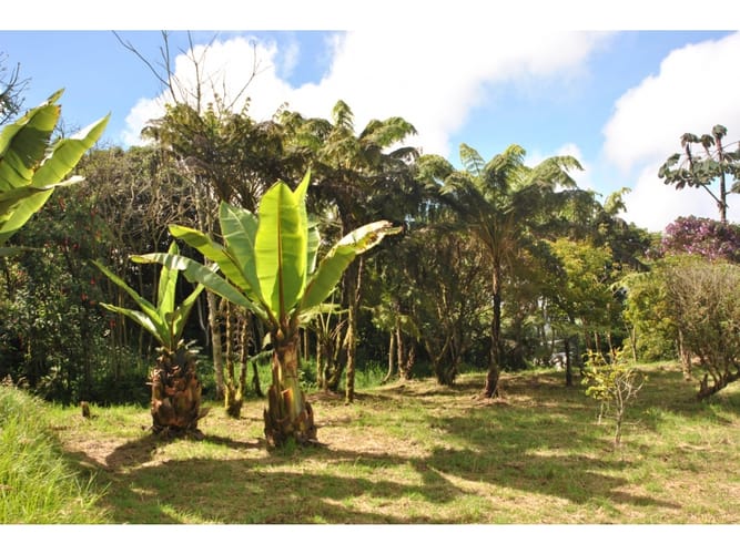Lote en venta en Loreto, Medellín · foto 10 de 24