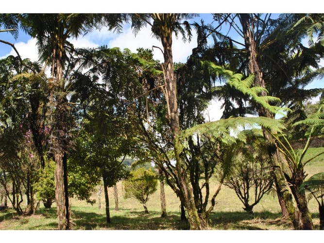 Lote en venta en Loreto, Medellín · foto 11 de 24