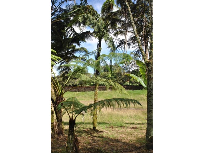Lote en venta en Loreto, Medellín · foto 13 de 24