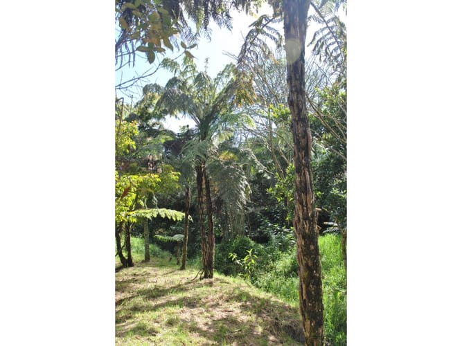 Lote en venta en Loreto, Medellín · foto 14 de 24