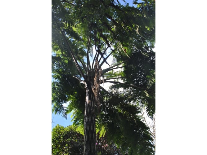 Lote en venta en Loreto, Medellín · foto 16 de 24