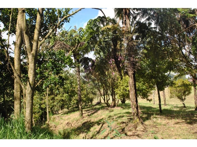 Lote en venta en Loreto, Medellín · foto 23 de 24
