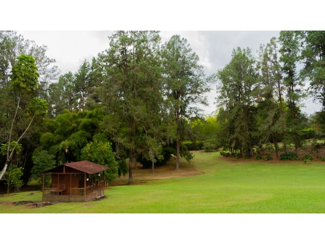 Casa de 5 alcobas en venta en Llano Grande, Rionegro, 500 m² · foto 24 de 24