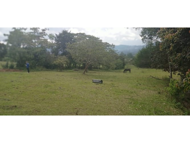 Lote en venta en San Nicolas, La Ceja, 3750 m² · foto 2 de 4
