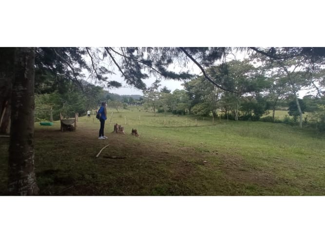 Lote en venta en San Nicolas, La Ceja, 3750 m² · foto 3 de 4