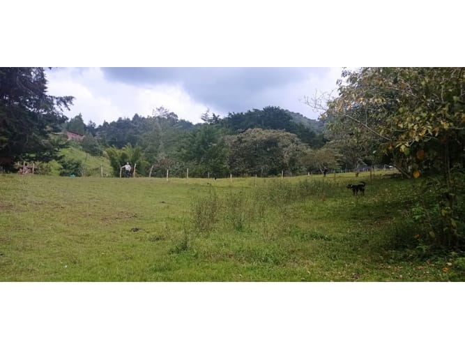 Lote en venta en San Nicolas, La Ceja, 3750 m² · foto 4 de 4