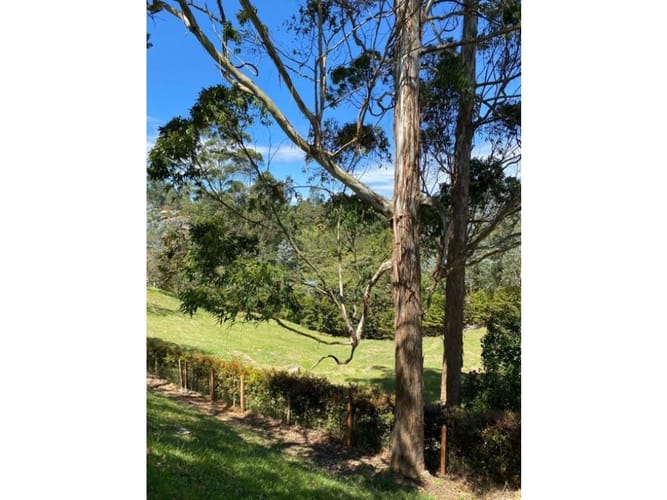 Lote en venta en El Carmen De Viboral, El Carmen de Viboral, 3300 m² · foto 2 de 16