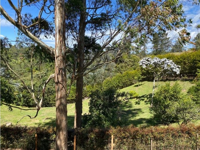 Lote en venta en El Carmen De Viboral, El Carmen de Viboral, 3300 m² · foto 4 de 16