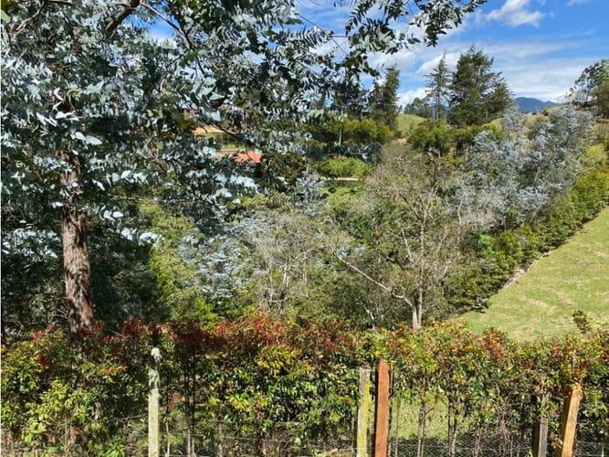 Lote en venta en El Carmen De Viboral, El Carmen de Viboral, 3300 m² · foto 6 de 16